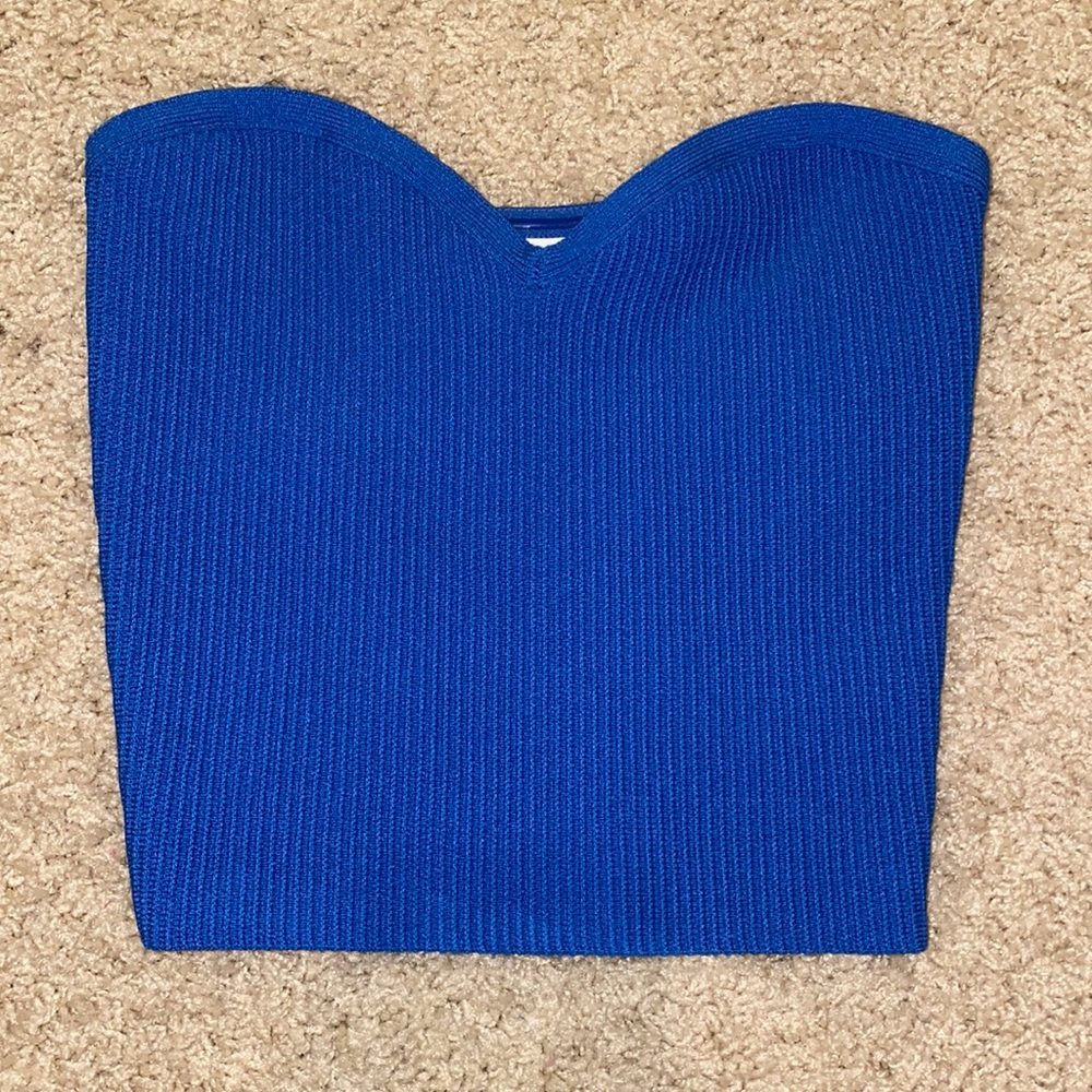 Aritzia Babaton Tube Top
